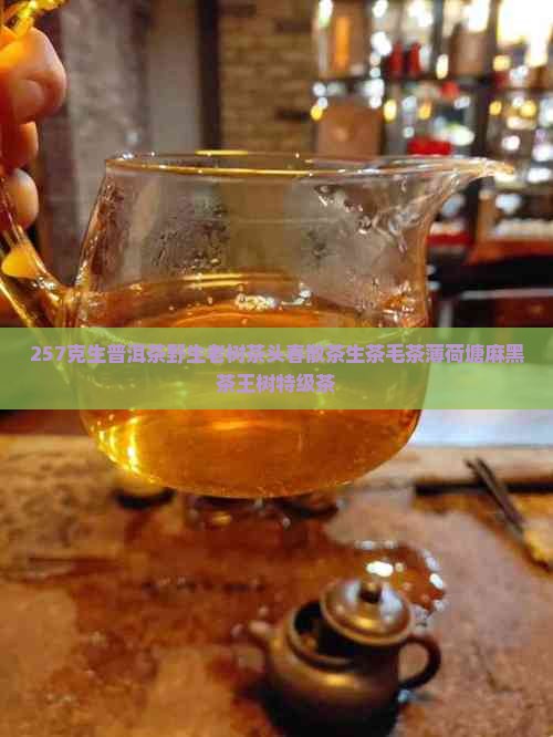 257克生普洱茶野生老树茶头春散茶生茶毛茶薄荷塘麻黑茶王树特级茶