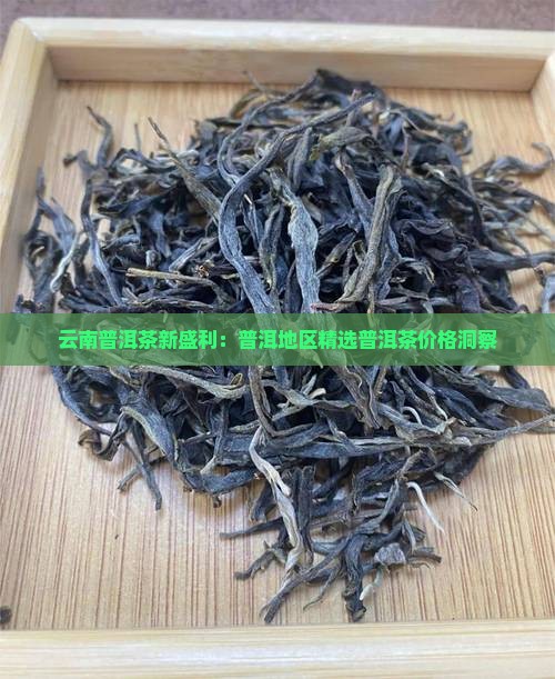 云南普洱茶新盛利：普洱地区精选普洱茶价格洞察