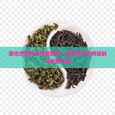 澜沧古茶时光仓老班章：探寻千年古树茶韵与收藏之道