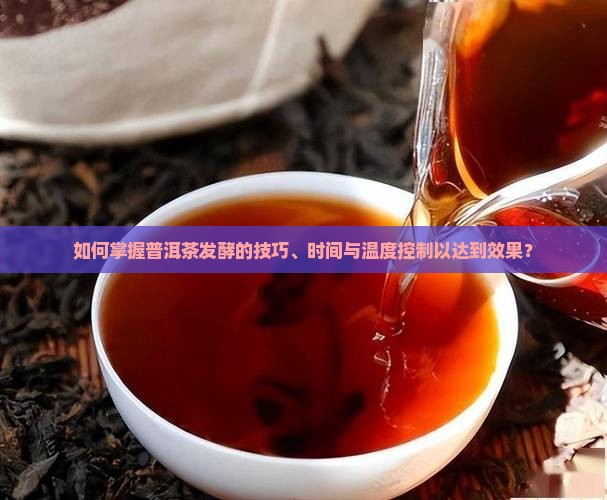 如何掌握普洱茶发酵的技巧、时间与温度控制以达到效果？