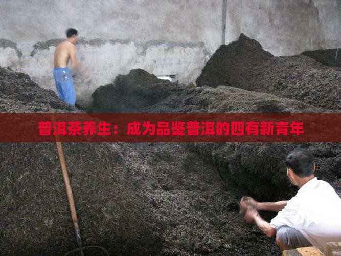 普洱茶养生：成为品鉴普洱的四有新青年
