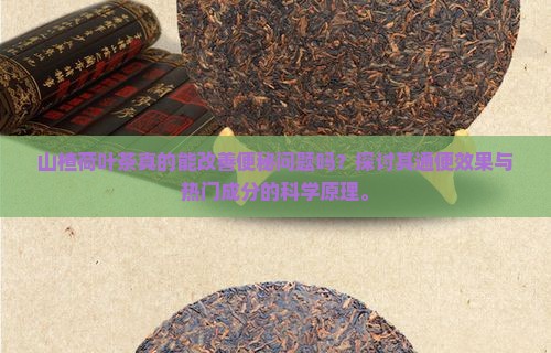 山楂荷叶茶真的能改善便秘问题吗？探讨其通便效果与热门成分的科学原理。