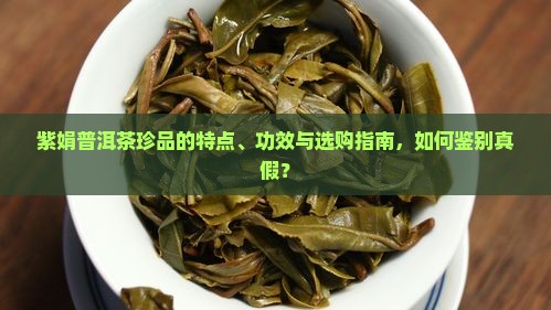 紫娟普洱茶珍品的特点、功效与选购指南，如何鉴别真假？