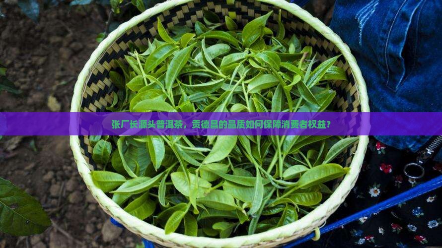 张厂长源头普洱茶，贡德昌的品质如何保障消费者权益？