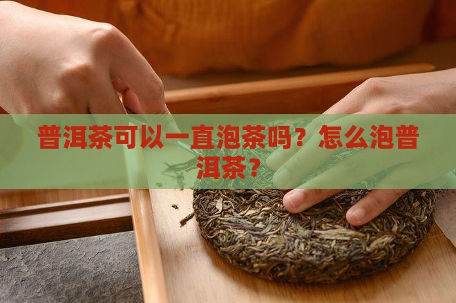 普洱茶可以一直泡茶吗？怎么泡普洱茶？