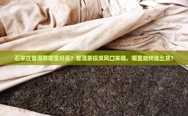 石家庄普洱茶哪里好卖？普洱茶投资风口来临，哪里能快速出货？