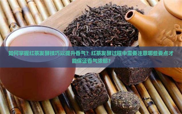 如何掌握红茶发酵技巧以提升香气？红茶发酵过程中需要注意哪些要点才能保证香气浓郁？