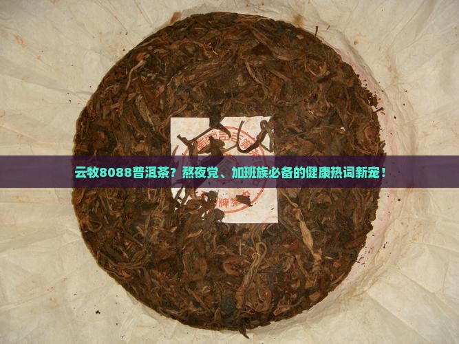 云牧8088普洱茶？熬夜党、加班族必备的健康热词新宠！