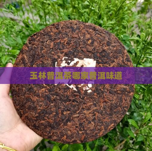 玉林普洱茶哪家普洱味道