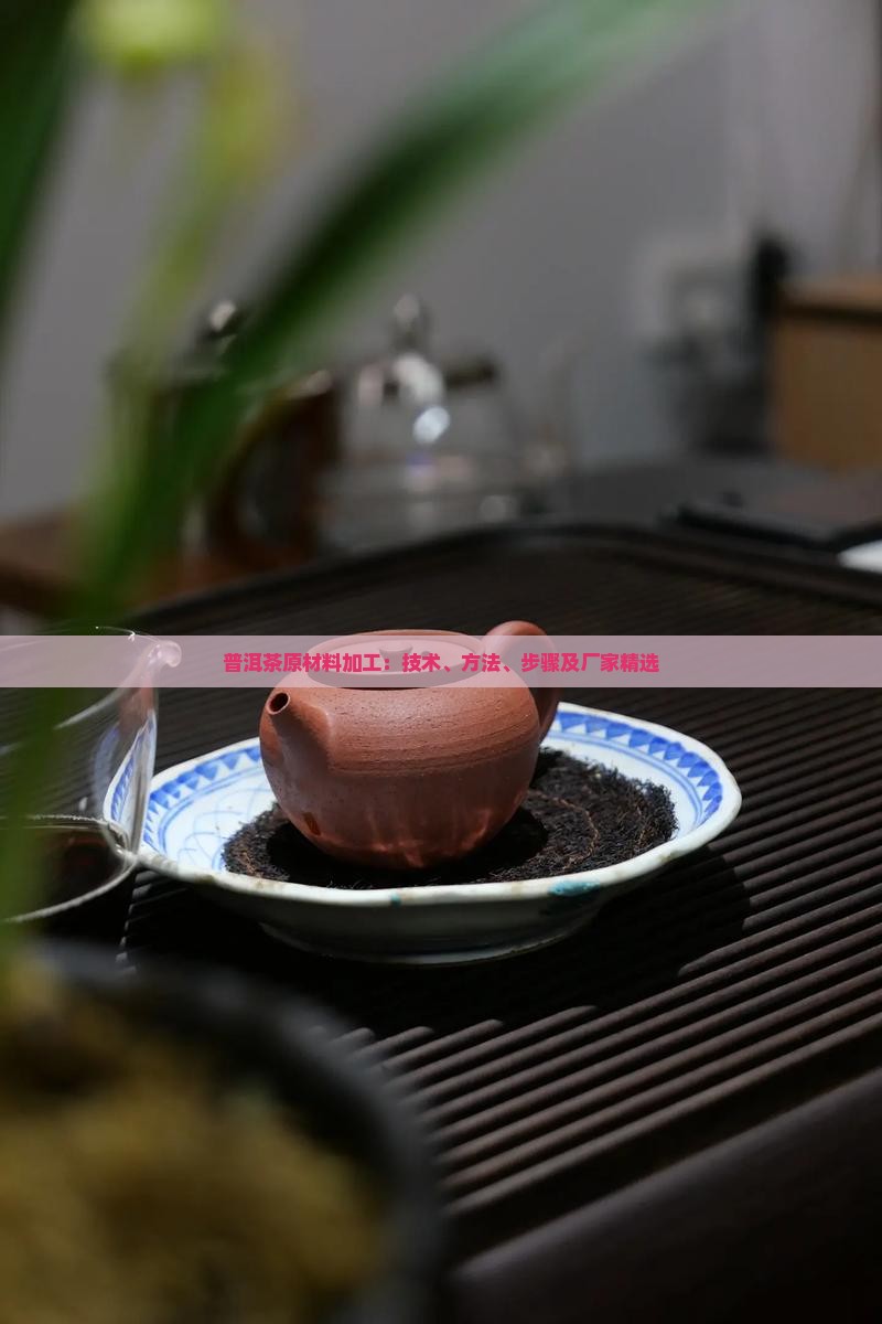 普洱茶原材料加工：技术、方法、步骤及厂家精选