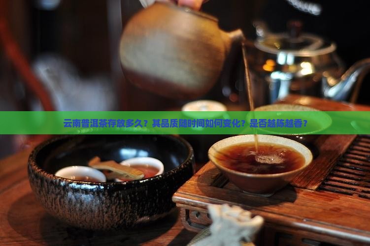 云南普洱茶存放多久？其品质随时间如何变化？是否越陈越香？