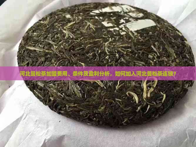 河北曼松茶加盟费用、条件及盈利分析，如何加入河北曼松茶连锁？