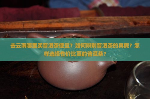 去云南哪里买普洱茶便宜？如何辨别普洱茶的真假？怎样选择性价比高的普洱茶？