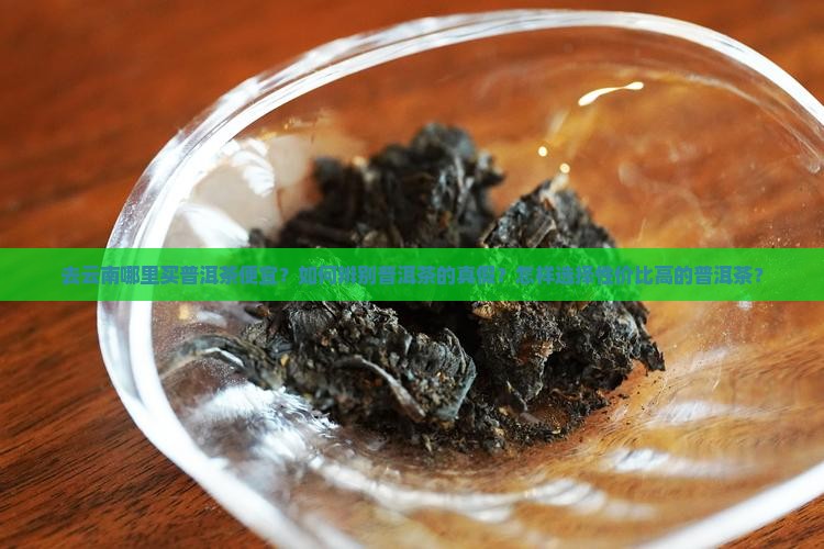去云南哪里买普洱茶便宜？如何辨别普洱茶的真假？怎样选择性价比高的普洱茶？