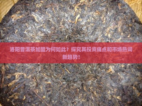 洛阳普洱茶加盟为何如此？探究其投资痛点和市场热词新趋势！