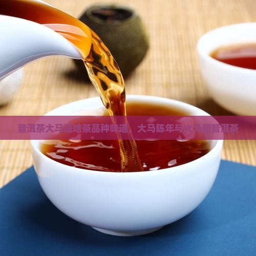 普洱茶大马是啥茶品种味道，大马陈年与大马帮普洱茶