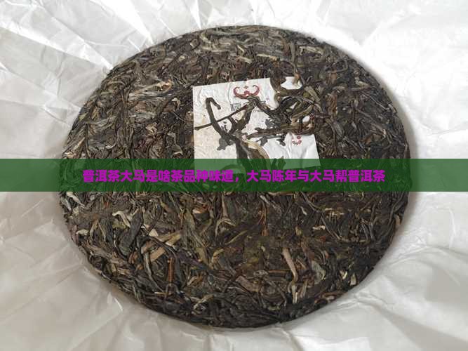 普洱茶大马是啥茶品种味道，大马陈年与大马帮普洱茶