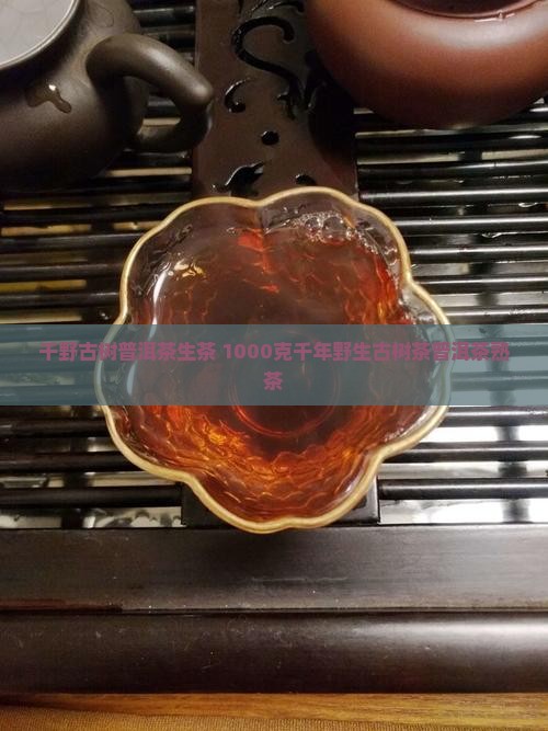 千野古树普洱茶生茶 1000克千年野生古树茶普洱茶熟茶