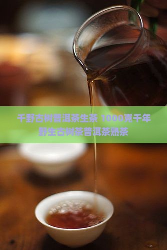 千野古树普洱茶生茶 1000克千年野生古树茶普洱茶熟茶