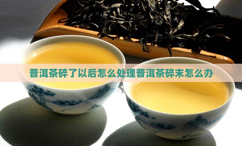 普洱茶碎了以后怎么处理普洱茶碎末怎么办