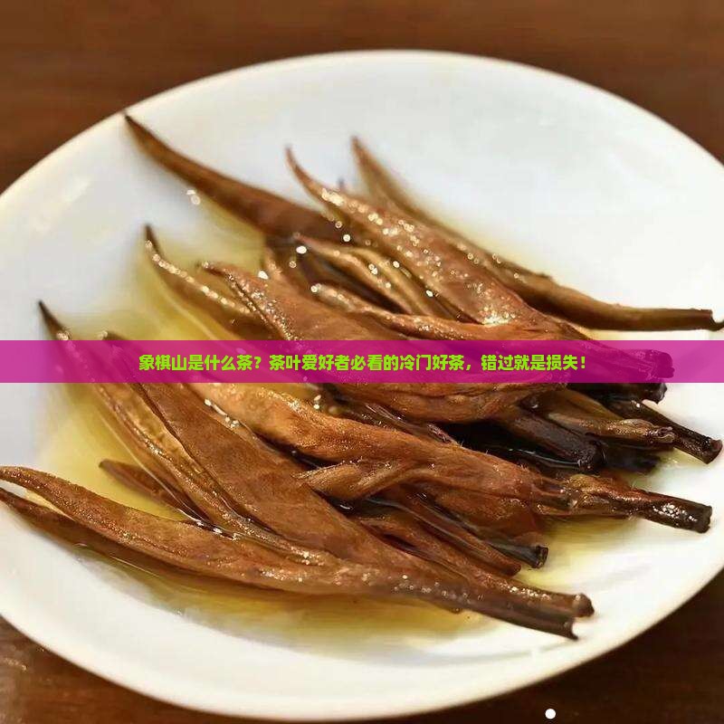 象棋山是什么茶？茶叶爱好者必看的冷门好茶，错过就是损失！