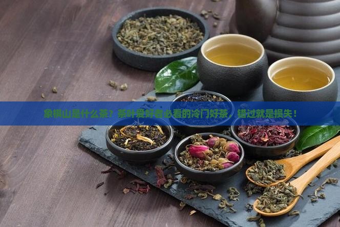 象棋山是什么茶？茶叶爱好者必看的冷门好茶，错过就是损失！