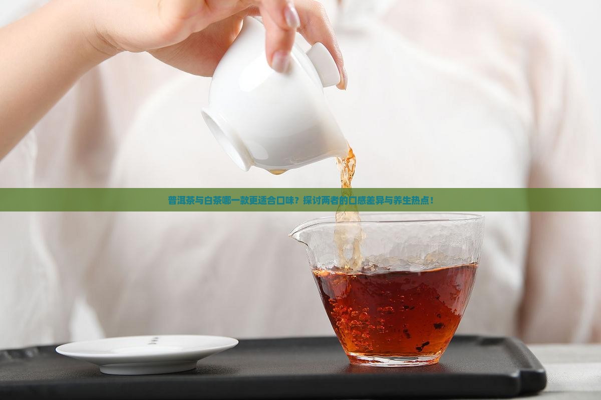 普洱茶与白茶哪一款更适合口味？探讨两者的口感差异与养生热点！