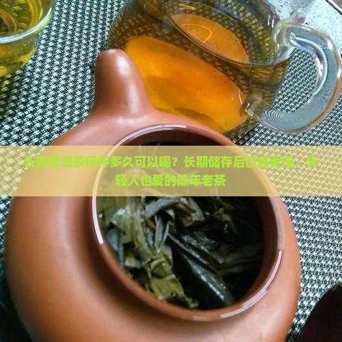 云南普洱茶保存多久可以喝？长期储存后口感更佳，年轻人也爱的陈年老茶