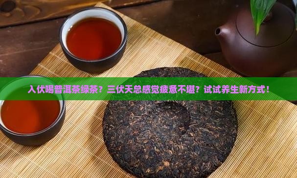 入伏喝普洱茶绿茶？三伏天总感觉疲惫不堪？试试养生新方式！