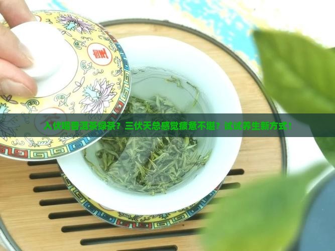 入伏喝普洱茶绿茶？三伏天总感觉疲惫不堪？试试养生新方式！