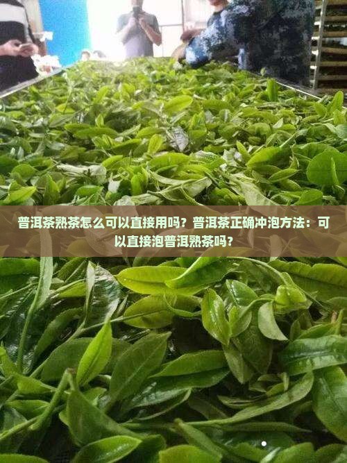 普洱茶熟茶怎么可以直接用吗？普洱茶正确冲泡方法：可以直接泡普洱熟茶吗？