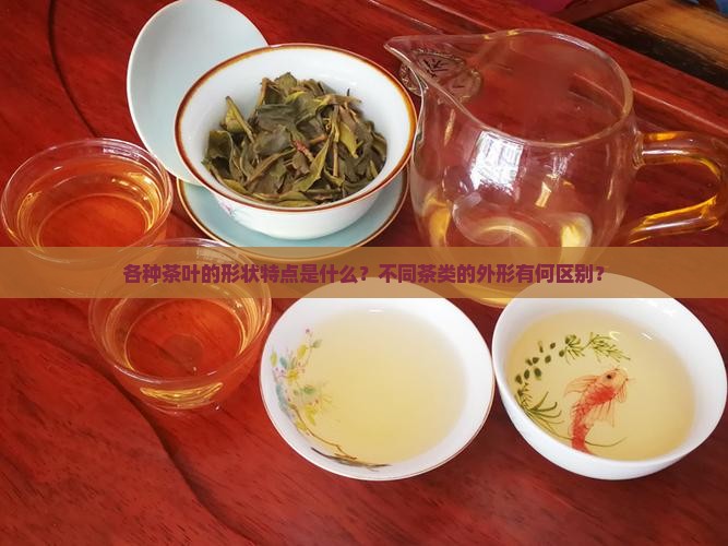 各种茶叶的形状特点是什么？不同茶类的外形有何区别？