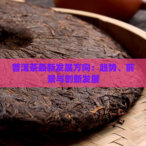 普洱茶最新发展方向：趋势、前景与创新发展