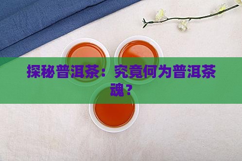 探秘普洱茶：究竟何为普洱茶魂？
