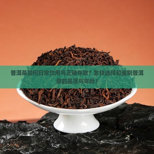 普洱茶如何日常饮用与正确存放？怎样选择和鉴别普洱茶的品质与年份？