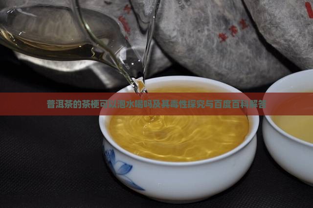 普洱茶的茶梗可以泡水喝吗及其毒性探究与百度百科解答