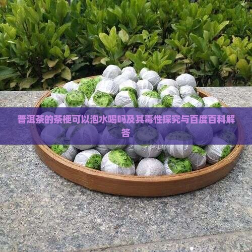 普洱茶的茶梗可以泡水喝吗及其毒性探究与百度百科解答