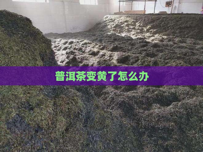 普洱茶变黄了怎么办