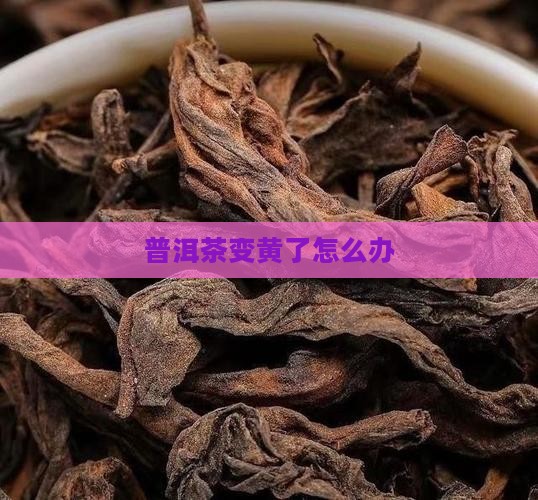 普洱茶变黄了怎么办