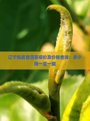 辽宁陈皮普洱茶报价及价格查询：多少钱一盒一罐