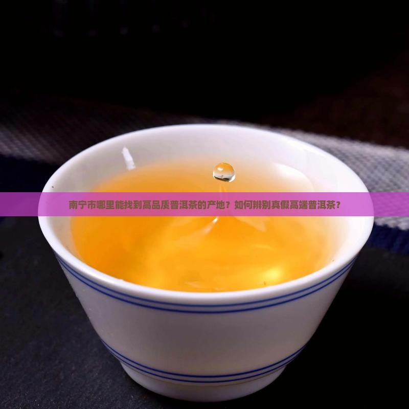 南宁市哪里能找到高品质普洱茶的产地？如何辨别真假高端普洱茶？