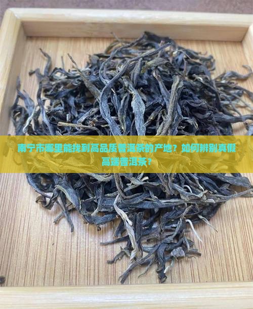 南宁市哪里能找到高品质普洱茶的产地？如何辨别真假高端普洱茶？