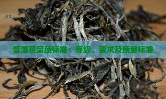 普洱茶品质标准：等级、要求及质量标准