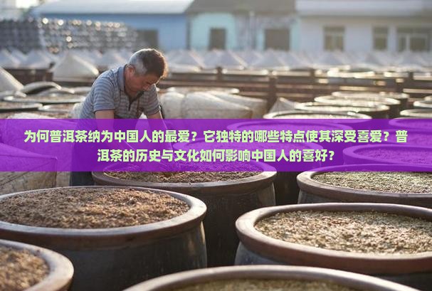 为何普洱茶纳为中国人的最爱？它独特的哪些特点使其深受喜爱？普洱茶的历史与文化如何影响中国人的喜好？