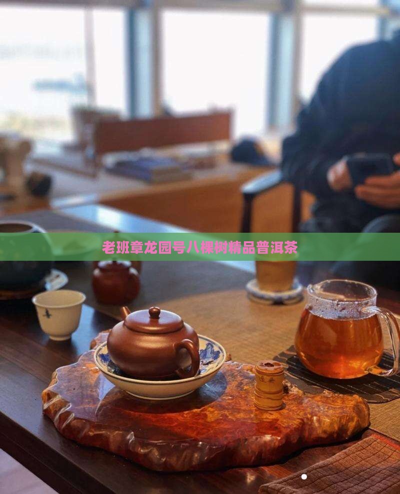 老班章龙园号八棵树精品普洱茶