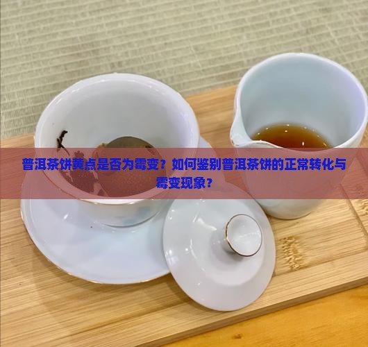 普洱茶饼黄点是否为霉变？如何鉴别普洱茶饼的正常转化与霉变现象？