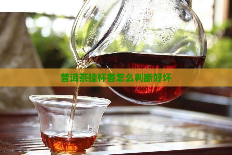 普洱茶挂杯香怎么判断好坏