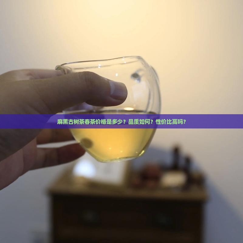 麻黑古树茶春茶价格是多少？品质如何？性价比高吗？