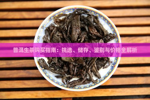 普洱生茶购买指南：挑选、储存、鉴别与价格全解析