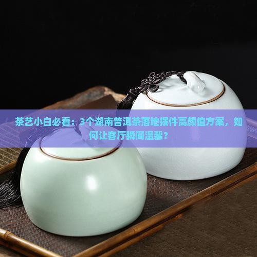茶艺小白必看：3个湖南普洱茶落地摆件高颜值方案，如何让客厅瞬间温馨？